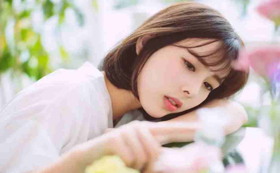 香港站群托管价格